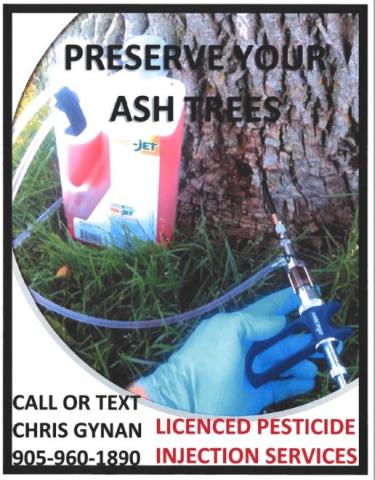 Pesticide injection tool used on tree trunk.